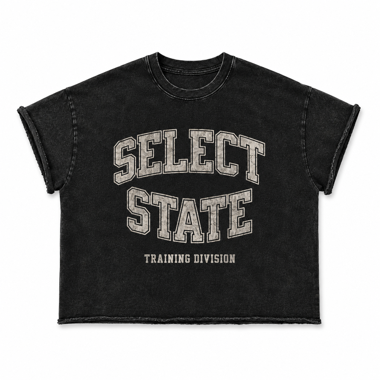 TRAINING DIVISION TEE